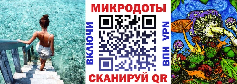 Купить Артёмовский Галлюциногенные грибы Psilocybine cubensis